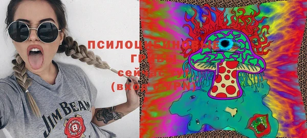 ECSTASY Покачи