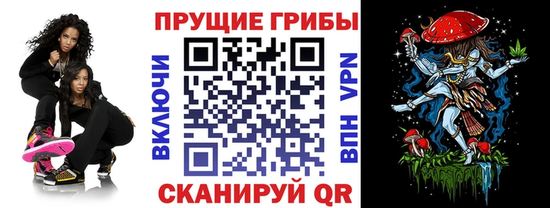 Псилоцибиновые грибы мухоморы закладка Реутов